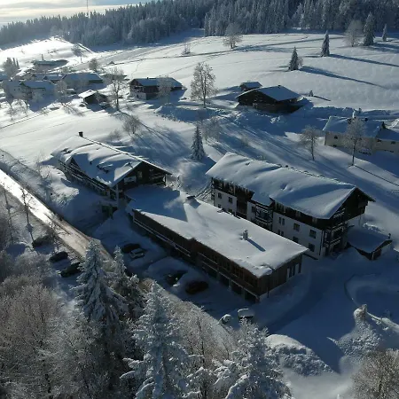 Norin Mitterdorf